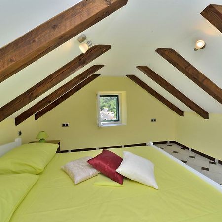 Apartments Carpe Diem Novigrad  المظهر الخارجي الصورة