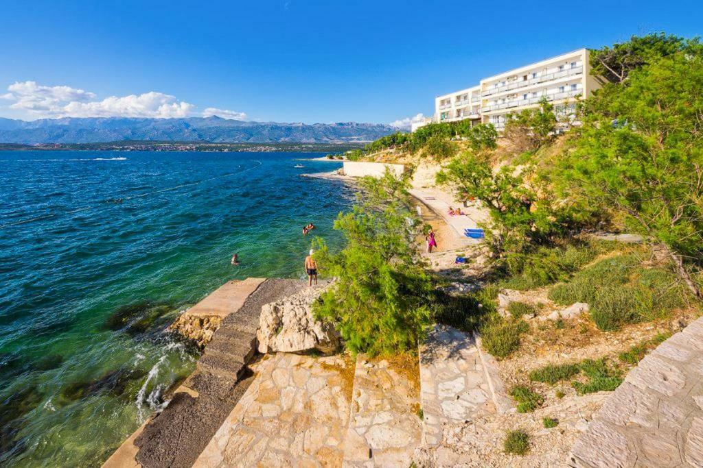 Apartments Carpe Diem Novigrad  المظهر الخارجي الصورة