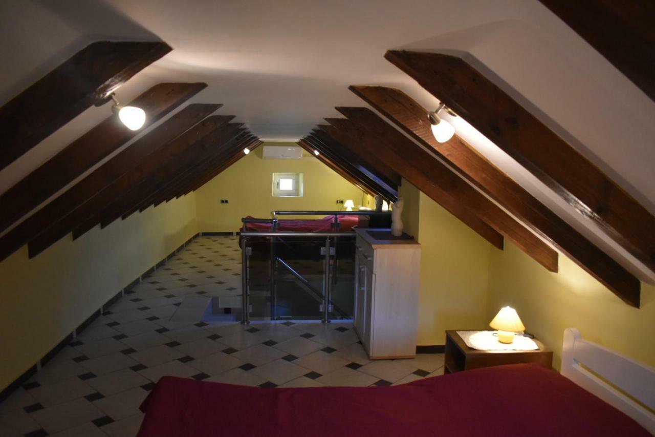 Apartments Carpe Diem Novigrad  المظهر الخارجي الصورة