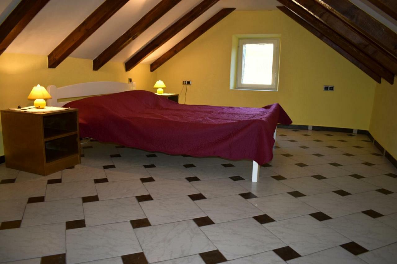 Apartments Carpe Diem Novigrad  المظهر الخارجي الصورة