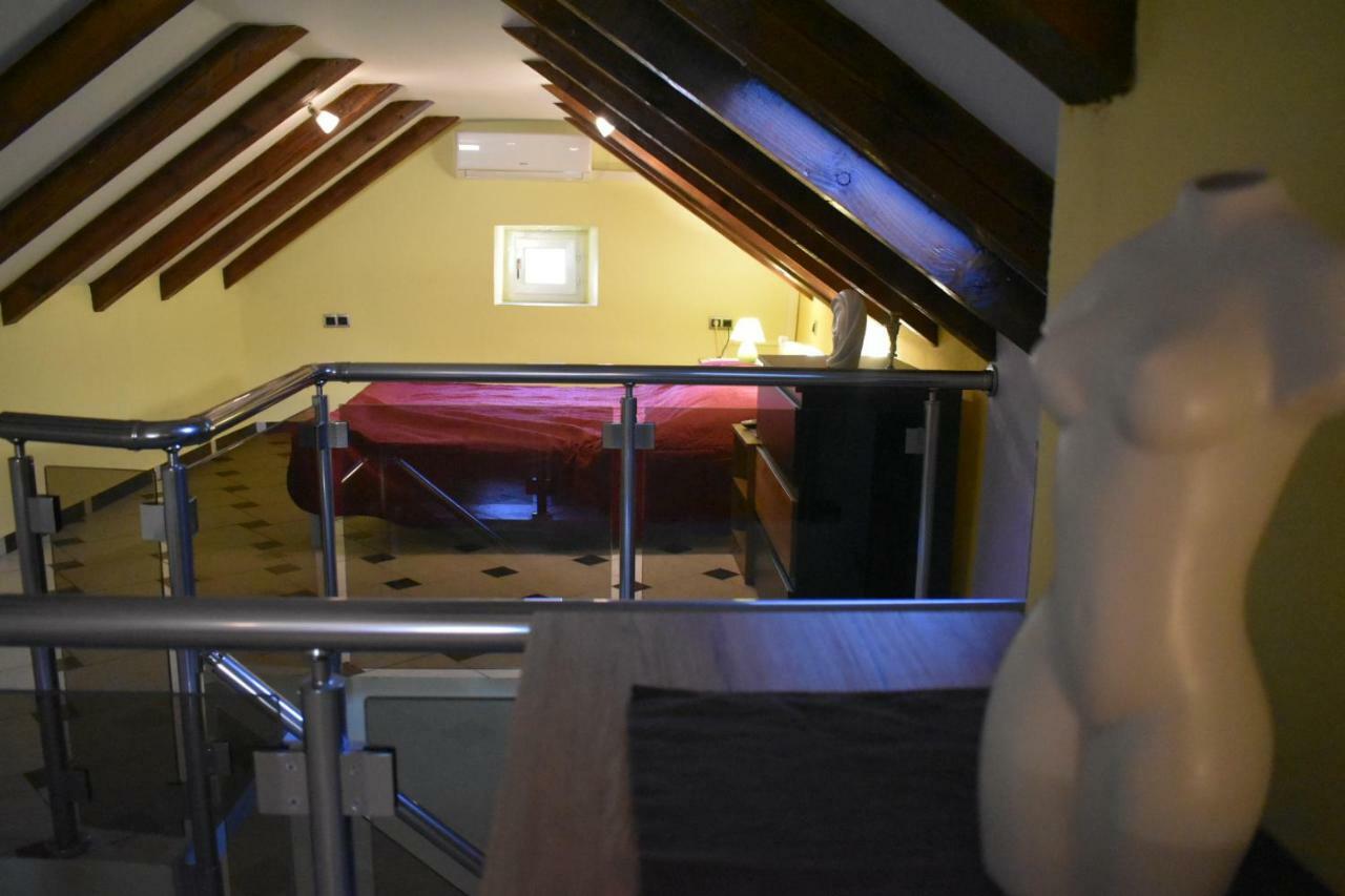Apartments Carpe Diem Novigrad  المظهر الخارجي الصورة