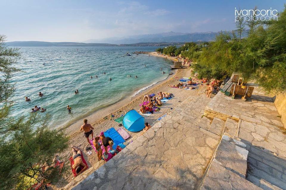Apartments Carpe Diem Novigrad  المظهر الخارجي الصورة