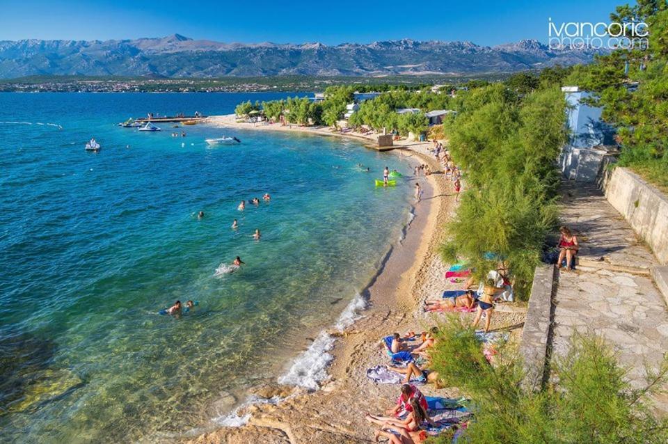 Apartments Carpe Diem Novigrad  المظهر الخارجي الصورة